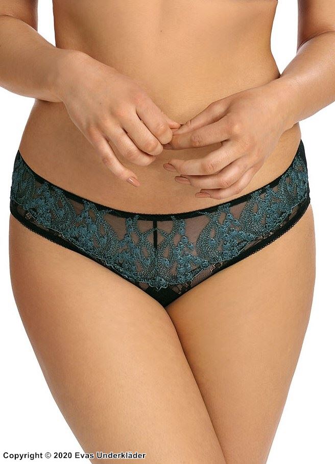 Panties, see-through mesh, embroidery
